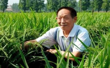 致敬袁隆平的作文8篇
