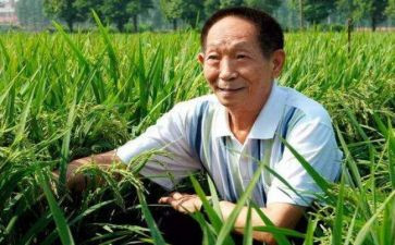 袁隆平传读后感7篇
