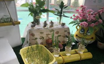 幼儿园培训教育教学心得8篇