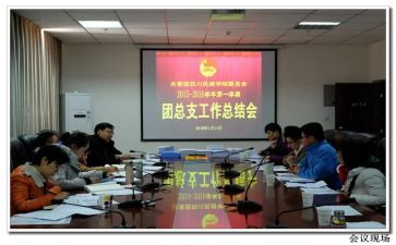 院团委个人总结8篇