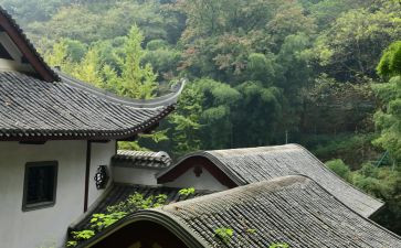 游岳麓山作文300字6篇