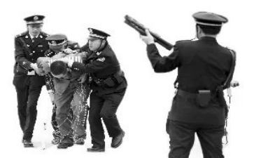 2024年监狱警示教育心得体会5篇