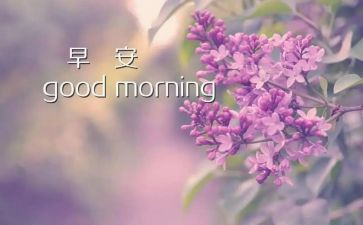 早教主班工作计划最新7篇