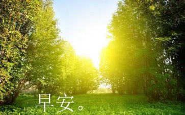 《早》的读后感400字最新8篇