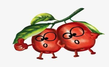 青枣市场的调研报告范文最新5篇