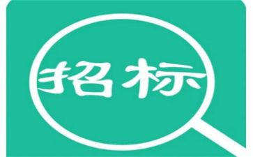 2024年招标工作个人总结7篇