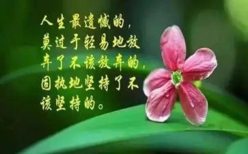 悟人生哲理的读后感8篇