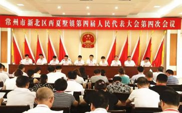 镇代表述职报告6篇
