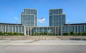 202年政府工作总结7篇