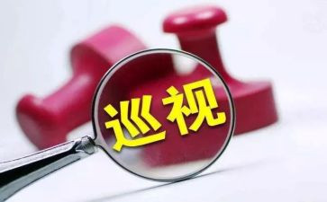 个人巡察整改对照材料5篇