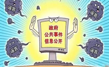 2024政务公开工作总结范文5篇