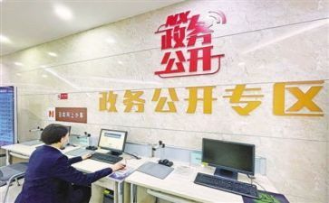 市政务公开工作总结6篇