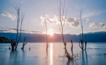 为真理而战观后感6篇