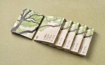 学哲学读后感推荐6篇
