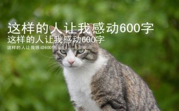 这样的人让我300作文模板8篇