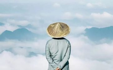 机智读后感6篇