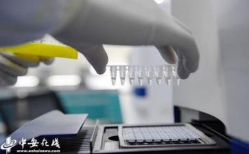 教师提高质量心得体会5篇