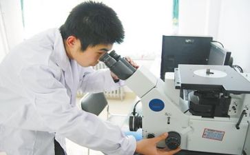市质量分析会讲话稿7篇