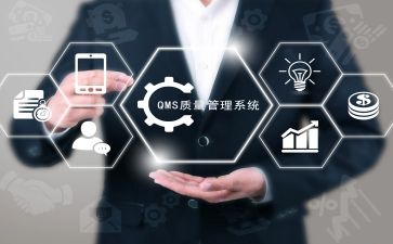 2024年技术质量工作总结优秀7篇