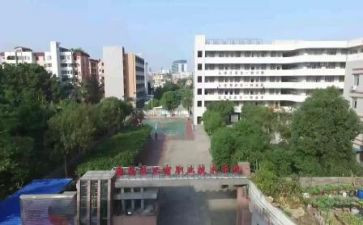 职校2024年工作总结8篇