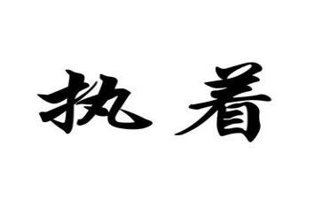 执着的我作文800字6篇