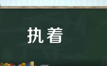 执着的我作文优秀7篇
