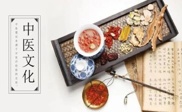 中医医师个人年度总结8篇