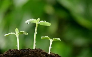 做一粒好种子读后感8篇