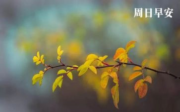 周末生活作文500字5篇