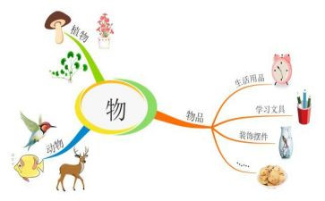 状物的优秀作文精选5篇