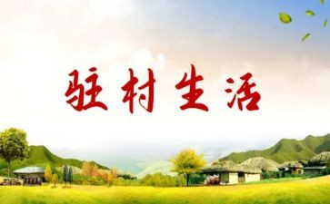 干部驻村工作个人述职报告6篇