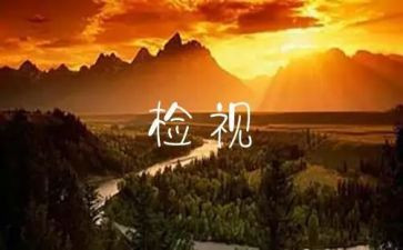个人自检自查报告参考8篇