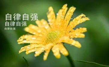 关于自强自立的演讲稿6篇