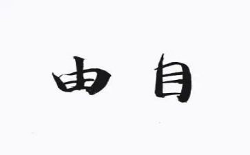 自由的我作文400字8篇