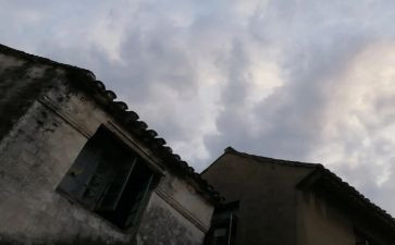毕竟我走过作文5篇