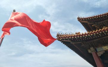 报效祖国演讲稿作文8篇