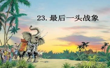 读最后一头战象心得体会8篇