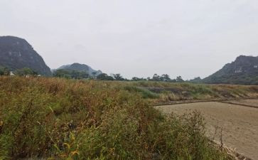 小区房屋租赁合同模板6篇