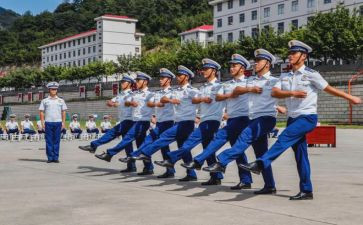 保险组训的工作总结8篇