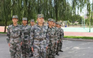 组训岗工作总结7篇